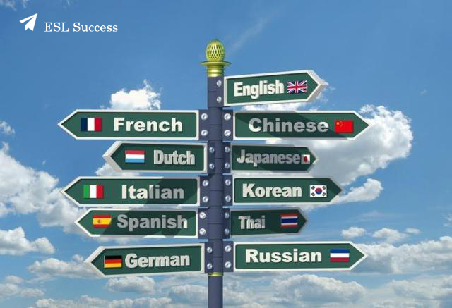 Секреты полиглотов: как выучить английский язык быстро?