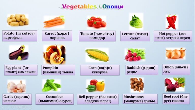 Названия овощей на английском языке